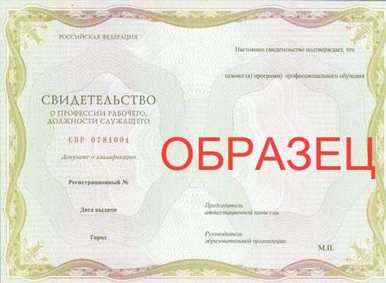 Образец выдаваемого документа