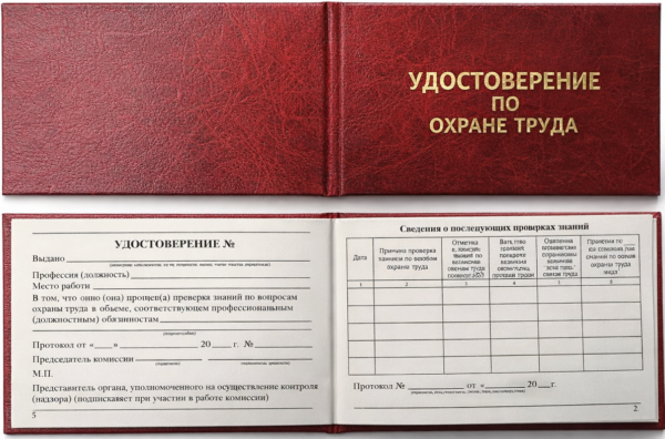 Образец выдаваемого документа