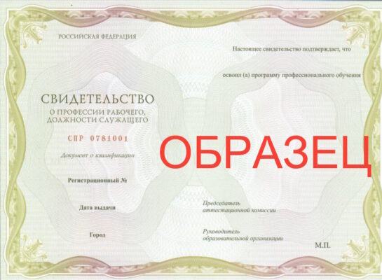 Образец выдаваемого документа