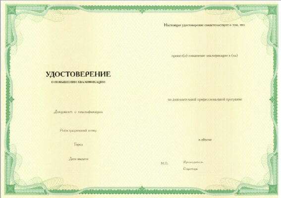 Образец выдаваемого документа
